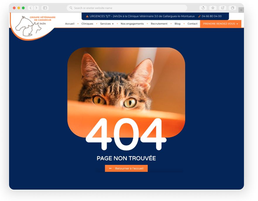 Groupe veterinaire de camargue. realisation keole.net