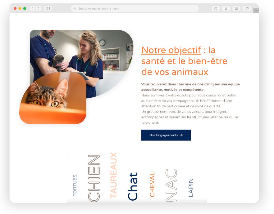 Groupe veterinaire de camargue. realisation keole.net