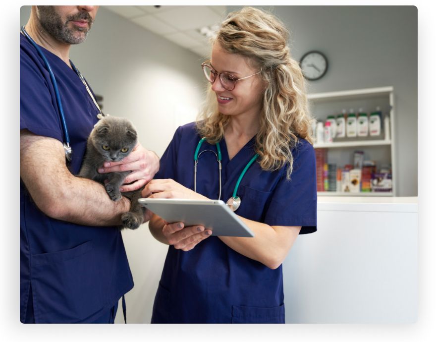 Groupe veterinaire de camargue. realisation keole.net