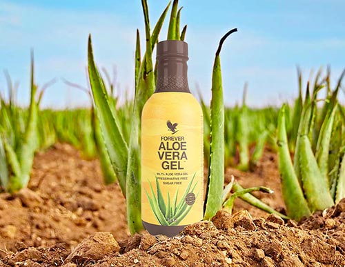 Bouteille de jus d'Aloe Vera - Eagle System